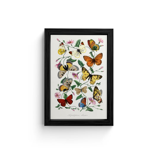Wall art, Canvas painting art, Canvas wall art, Wall art paintings, Living room wall art