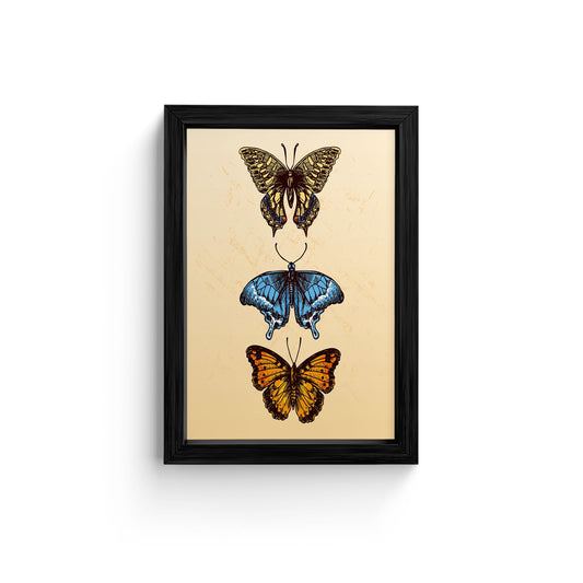 Butterfly Trio Canvas Wall Art