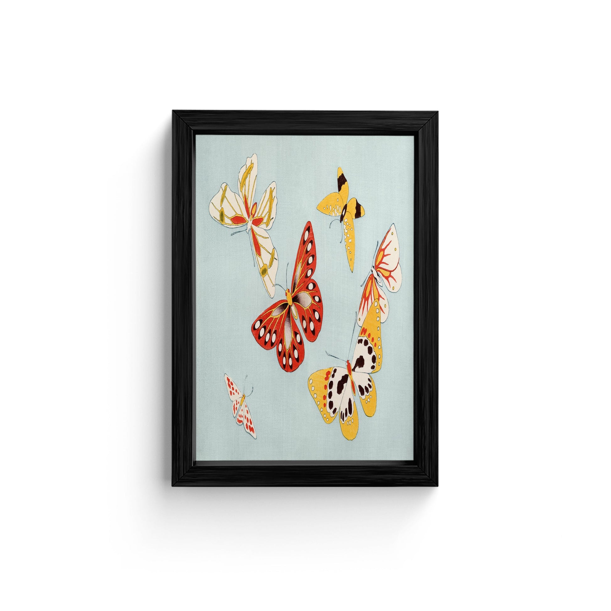 Colorful Butterfly Wall Art